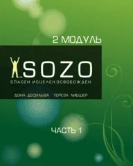 Расширенный курс СОЗО