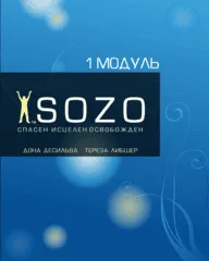 Базовый курс СОЗО